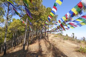 Hike up Champa Devi hill