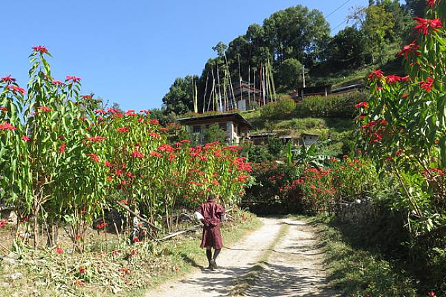 Bhutanese man approaching Radhi temple eastern bhutan 600x400