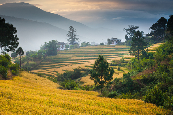 The Best Time to Visit Bhutan: Weather, Seasons, Walking & Trekking Guide