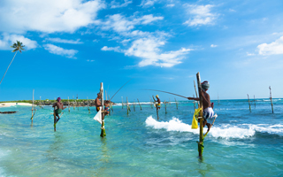 Discover Sri Lanka