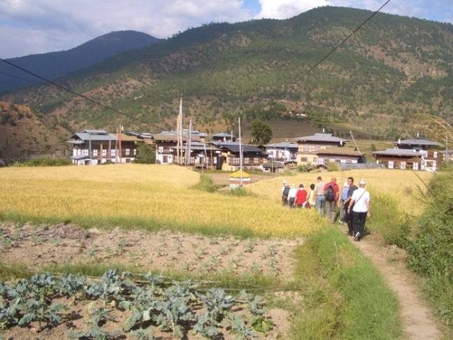 Gentle walking bhutan 600x450