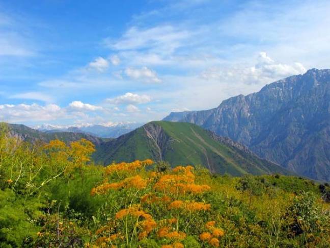 Uzbekistan travel guide chimgan mountains spring 600x450