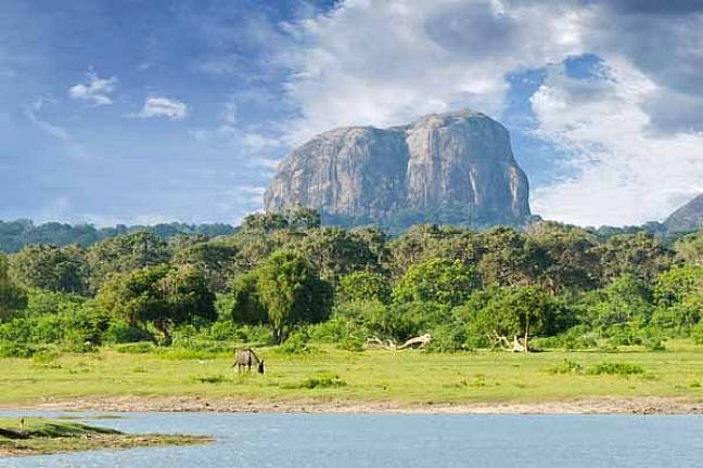 Best time to visit sri lanka yala national park landscape 600x400