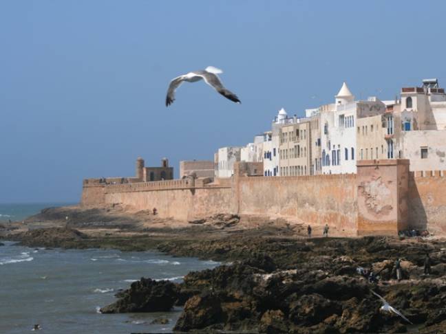 Morocco travel tips Essaouira