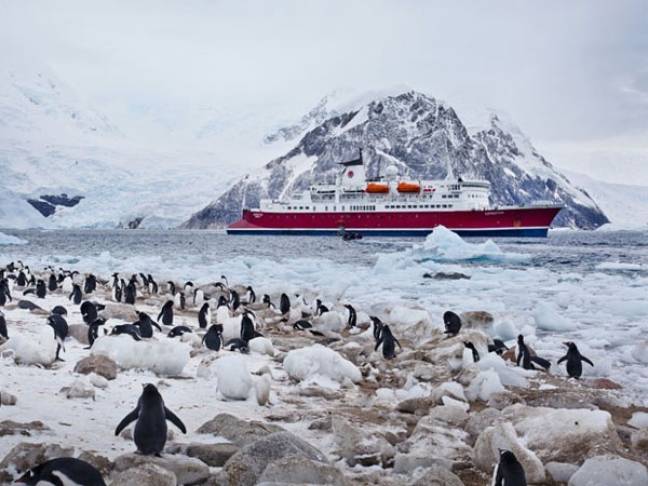 Reasons to visit patagonia antarctica cruise 2