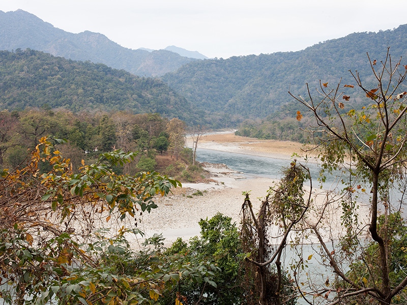 Royal Manas National Park