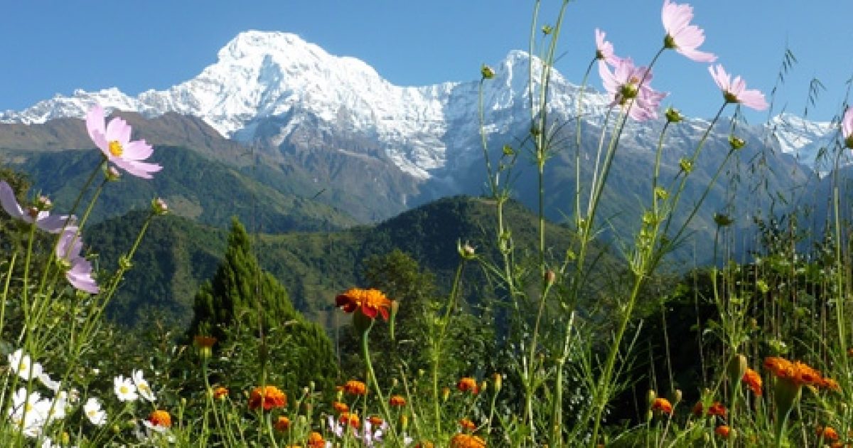 Annapurna Trekking Walking Holidays Annapurna Region Nepal