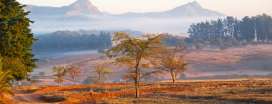 Eswatini