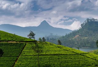 Adam's Peak