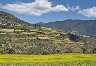 Haa Valley