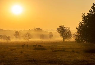 Khana National Park