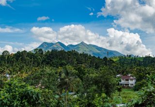Wayanad