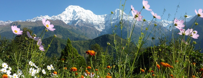 Annapurna Region, Nepal Trekking
