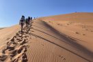 Dune walking in Dead Vlei