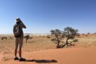 Looking for wildlife in the Namib Desert