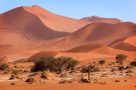 Sand dunes in Sossusvlei