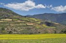 The Haa Valley