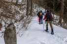Snowshoeing through the woods
