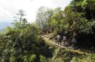 Trekking through dense forest at the start of the trek