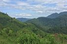 Walk to Nkuringo, Bwindi Impenetrable Forest
