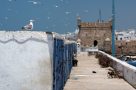 Coastal town of Essaouira, Morocco