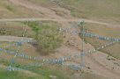 Sacred tree in the Mongolian steppe
