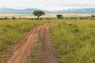 Queen Elizabeth National Park safari drive