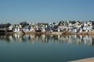 Pushkar