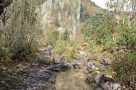 Trekking to Jangothang