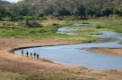On foot in Pafuri  - Kruger National Park