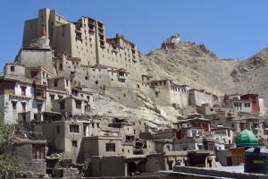 Leh castle and gompa. Image by I Broom