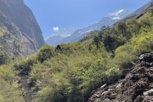Starting out on trek