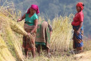 Local women in Gurung village. Image by J.Helliwell