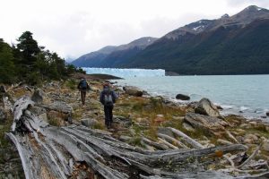 Coast walk near the Perito Moreno Glacier
