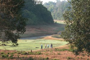 Gentle walking wildlife kerala Walking in Periyar