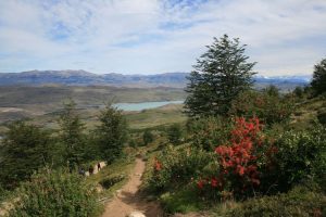 Las Torres Trek