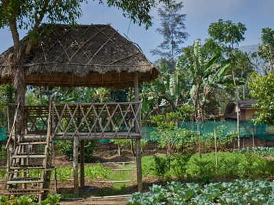 Organic farm