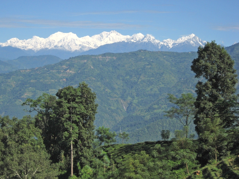 Kangchenjunga views