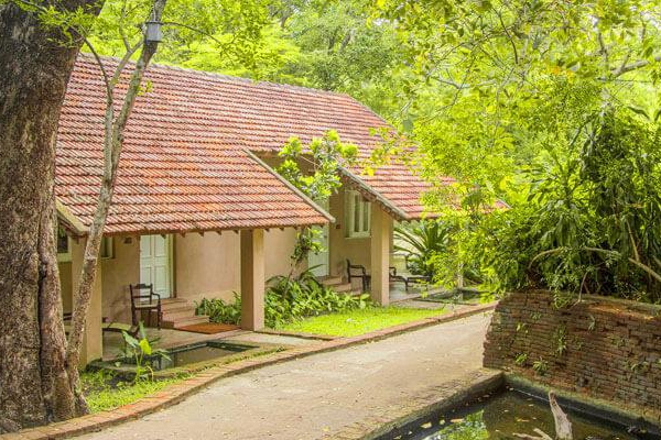 Cottage style rooms