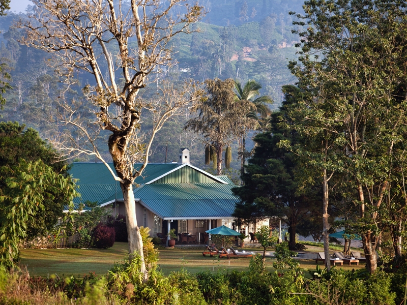 Castlereagh bungalow