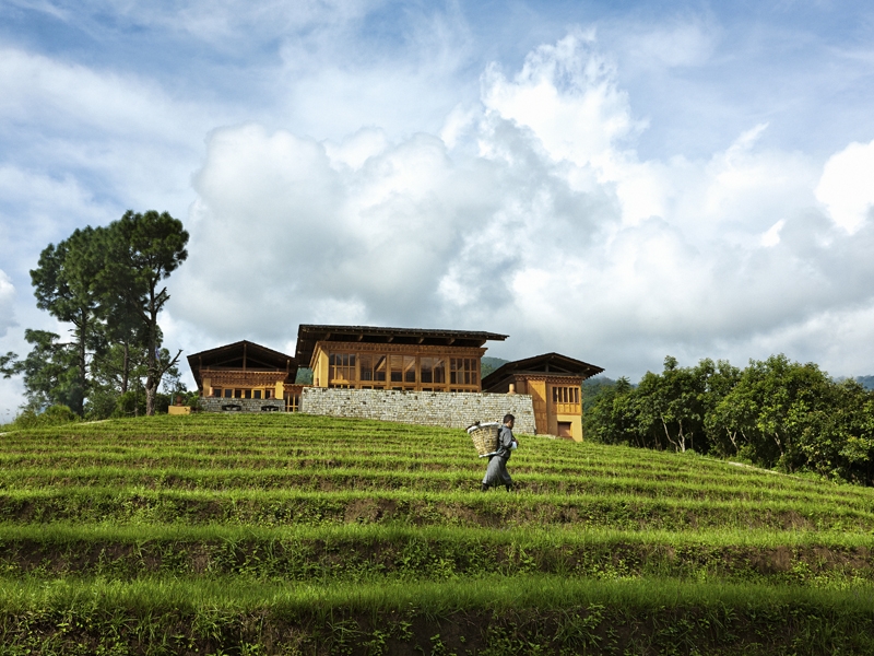 Set amidst terraced fields