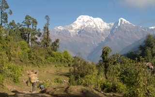 Trekking Guide to the Annapurna Region