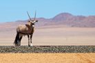 Gentle Walking & Wildlife Holiday Namibia