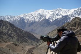 Himalayan Wildlife Tour, India