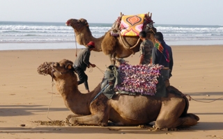 Steve's adventure in Morocco