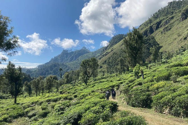 Highlights of the Pekoe Trail, Sri Lanka