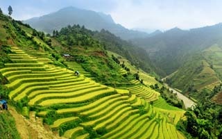 Best time to visit the rice terraces of Sapa and Northern Vietnam