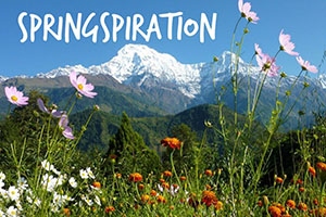 See our latest enews for some Springspiration