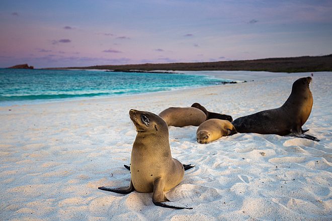 Gentle Walking Ecuador & Galapagos Safari