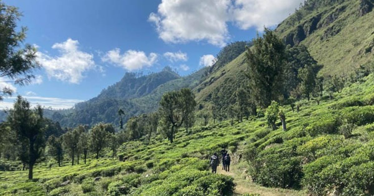 Pekoe Trail Trek 2025/26 Pekoe Trail Sri Lanka Mountain Kingdoms